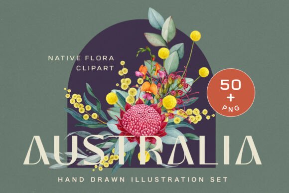 Download Australia Flora Watercolor Clipart - Art Collection