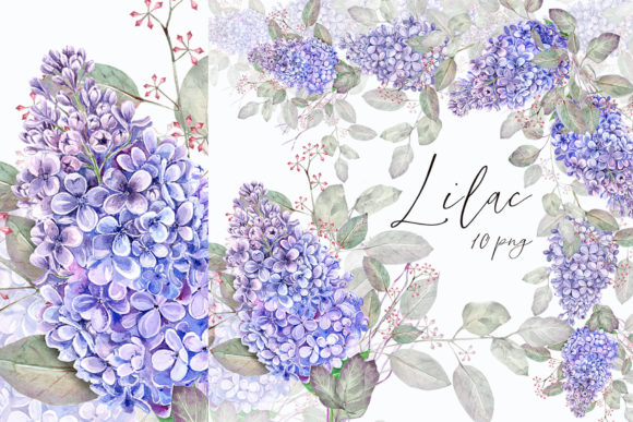 Download Lilac Clipart - Art Collection