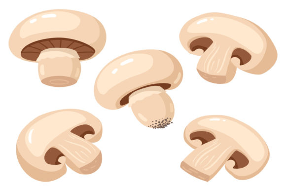 Download Cartoon Champignon - Art Collection