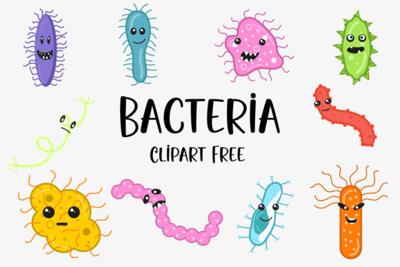 Download Bacteria Clipart Free - Art Collection