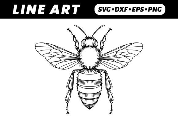 Download Line Art Bee Drawing, Detailed Wings - Art Collection