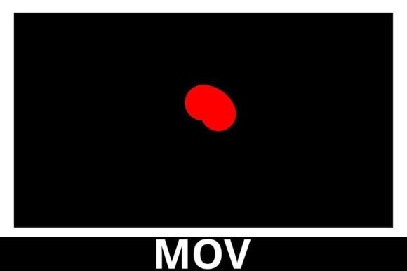 Download Circle Rainbow Motion Graphics - Graphic Collection